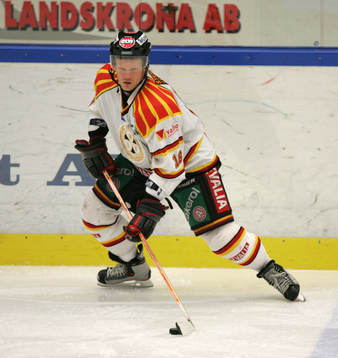 Sebastian Sulku, Brynäs
