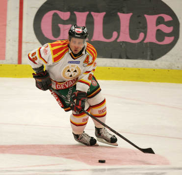 Mikael Wahlberg, Brynäs