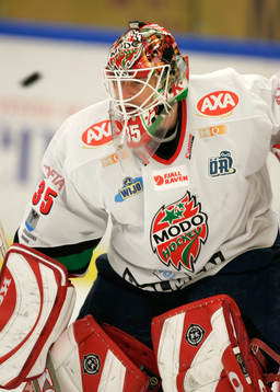 Tommy Salo, målvakt, Modo