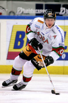 Shawn Horcoff