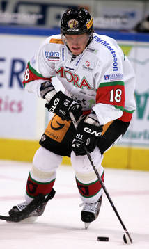Marian Hossa