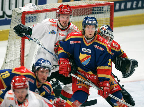 Sedin, Modo och Daniel Tjärnqvist, Djurgården