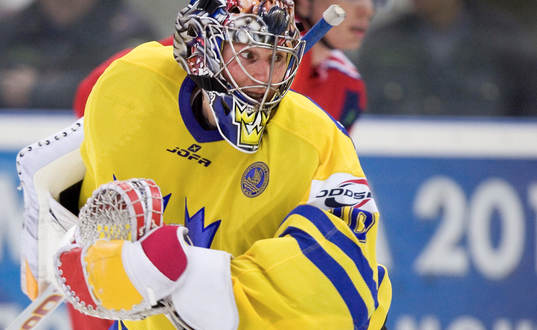 Johan Holmqvist, Målvakt, Sverige