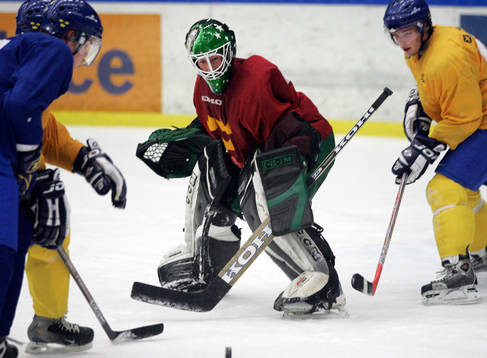 Ishockey, träning, Sverige, U20, junior, landslag,