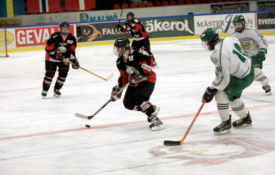 Ishockey, ungdom, junior, ungdomsturnering, Malmö -