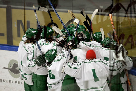 Ishockey, ungdom, junior, ungdomsturnering, Malmö -