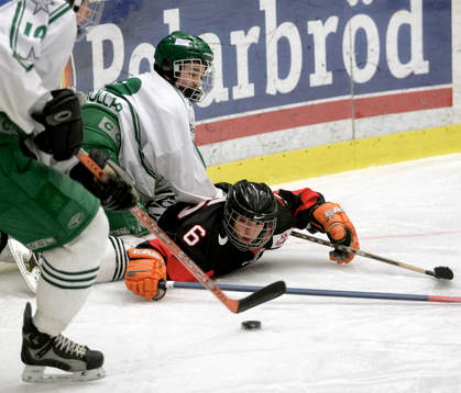 Ishockey, ungdom, junior, ungdomsturnering, Malmö -