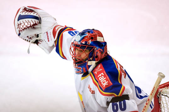 Jose Theodore, Målvakt