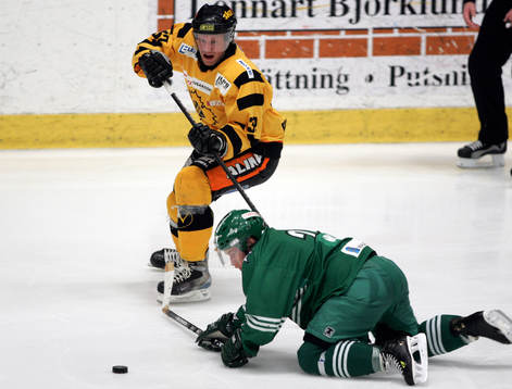 Tomi Hirvonen, Skellefteå och Johan Molin, Hammarby