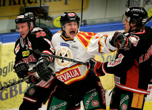 Ishockey, Elitserien. Malmö - Brynäs, Vesa Viitakoski,