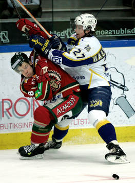 Martin Plüss, Frölunda och Johan Halvardsson, HV71