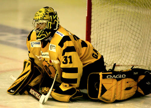 Ishockey, Superallsvenskan, Sean Gauthier, målvakt,