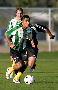 Erkan Zengin, Hammarby