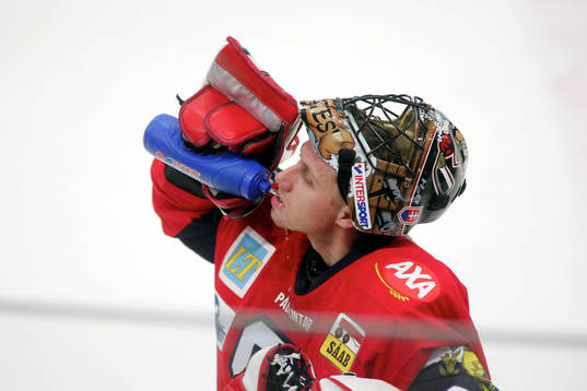Rastislav Stana, målvakt, Södertälje