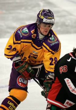 Marian Gaborik, Färjestad