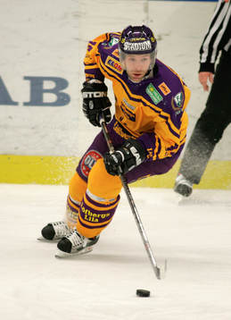 Jonas Höglund, Färjestad