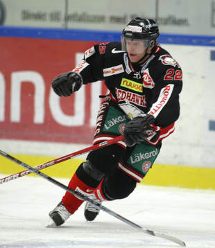 David Petrasek, Malmö