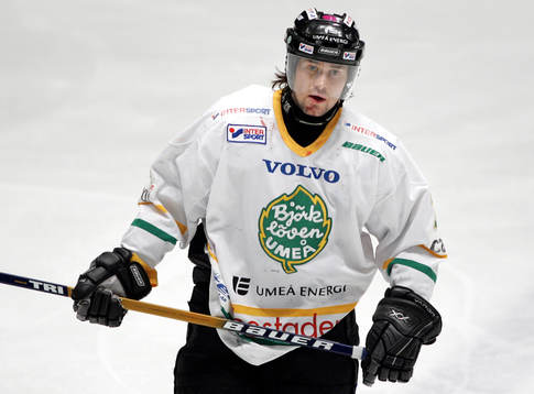 Aleksandrs Nizivijs, Björklöven
