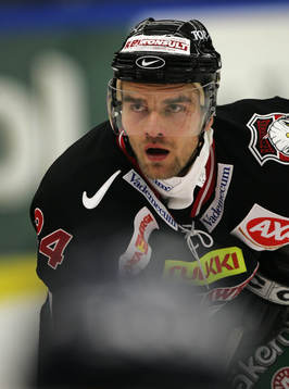 Radovan Somik