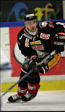 Radovan Somik, Malmö