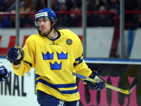 Henrik Zetterberg, Sverige