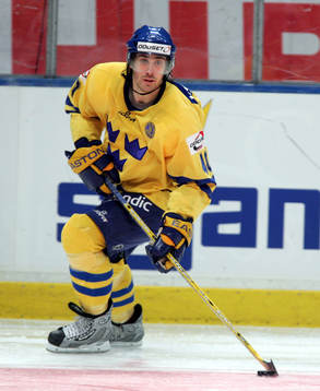 Henrik Zetterberg, Sverige