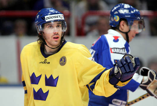 Henrik Zetterberg, Sverige