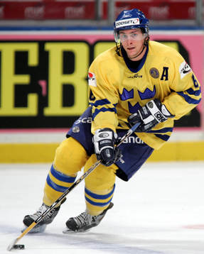 Magnus Johansson, Sverige