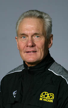 Göran Fridlund (fysioterapeut)