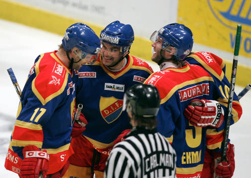 Djurgårdsglädje