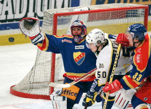 Jose Theodore, målvakt, Djurgården