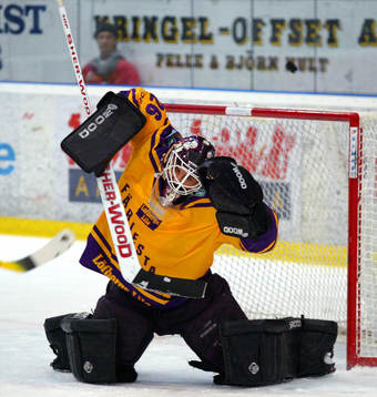 Martin Gerber, målvakt, Färjestad
