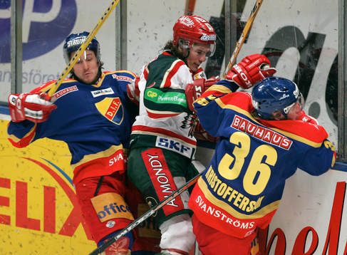 Tomas Kollar och Marcus Kristofferssson, Djurgårrden