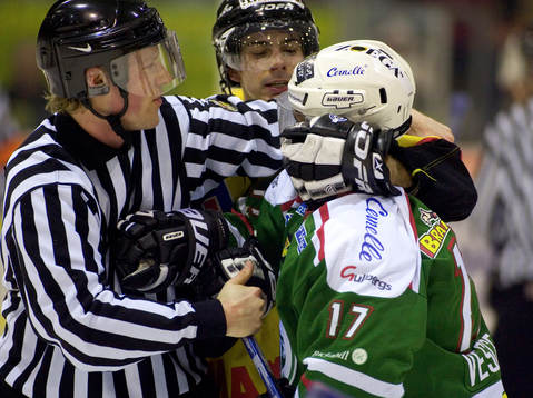 Rikard Ekström, Västerås, Ryan Vesce, Rögle och Niklas