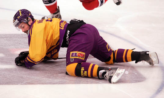 Jonas Höglund, Färjestad