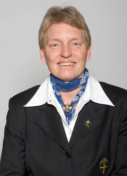 Fotboll, Svenska Fotbollförbundets Årsmöte, Nya