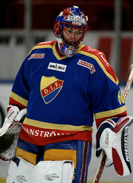 Jose Theodore, Målvakt Djurgården