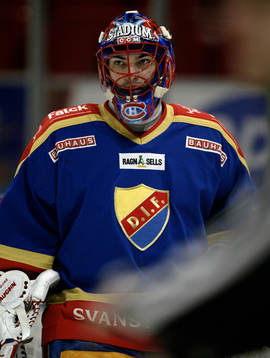 Jose Theodore, Målvakt Djurgården