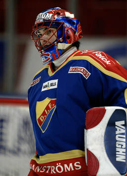 Jose Theodore, Målvakt Djurgården