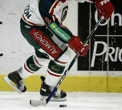 Klubba, puck, skridsko, ben, handskar, genre