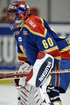 Jose Theodore, Målvakt