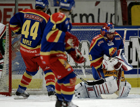 Jose Theodore, Målvakt Djurgården