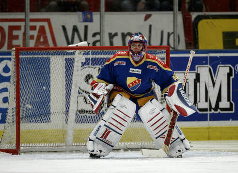Jose Theodore, Målvakt Djurgården