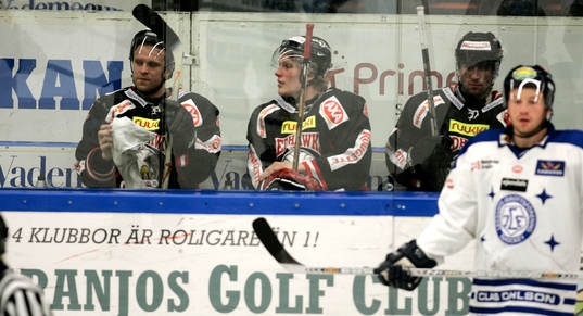 David Petrasek, Mika Hnnula och Brett Mclean, utvisning,