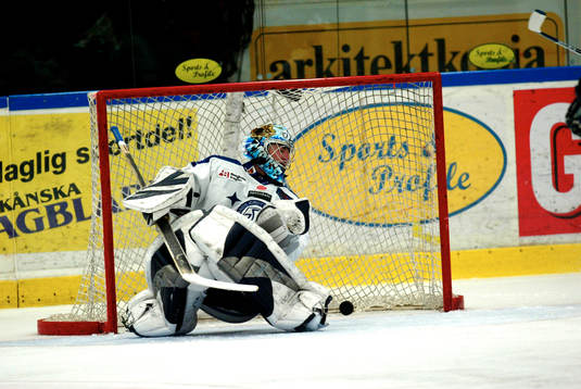 Johan Hedberg, målvakt, Leksand