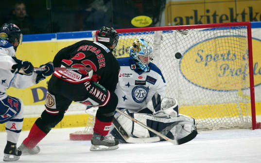 Johan Hedberg, Leksand (Målvakt) och David Petrasek, Malmö
