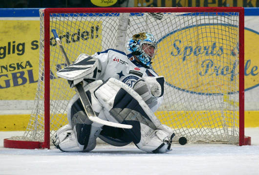 Johan Hedberg, Leksand (Målvakt)