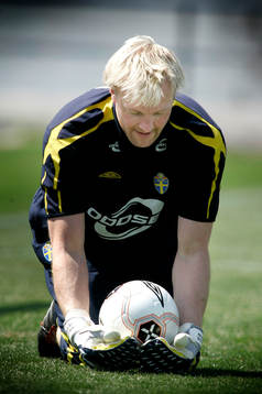 Magnus Hedman (målvakt)