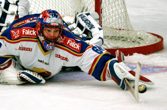 Jose Theodore, Djurgården räddar