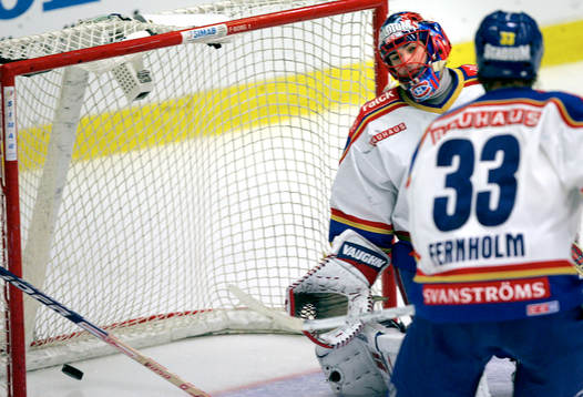 Jose Theodore, Djurgården deppar